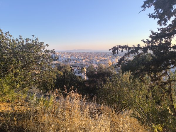 Photo: Ferenc Ocsovai