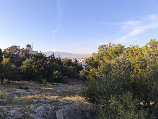 Photo: Ferenc Ocsovai