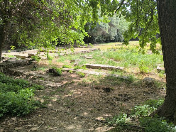 Photo: Ferenc Ocsovai