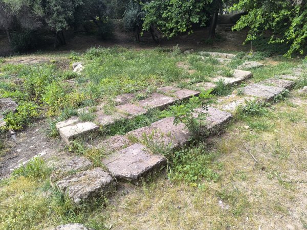 Photo: Ferenc Ocsovai