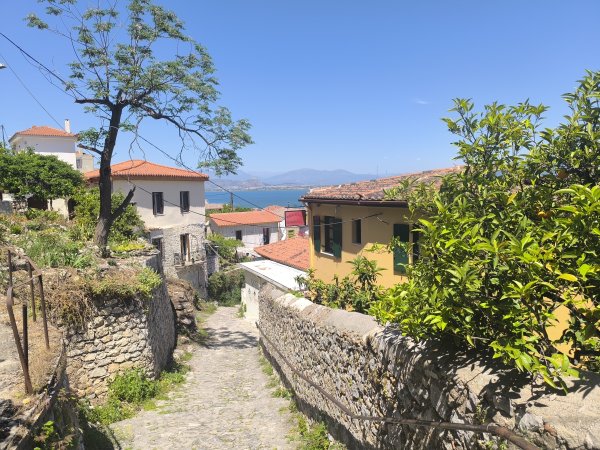 Photo: Ferenc Ocsovai