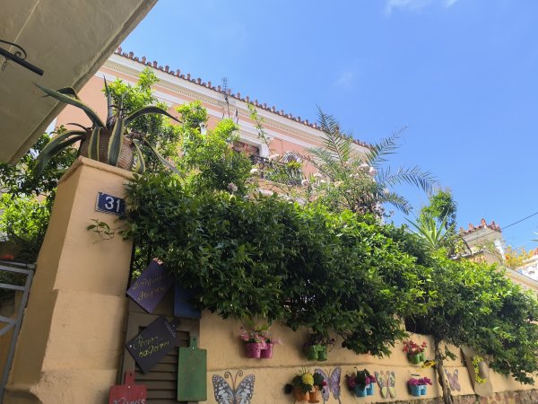 Photo: Ferenc Ocsovai