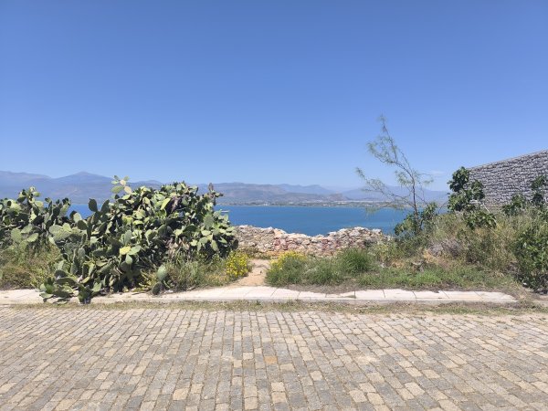 Photo: Ferenc Ocsovai