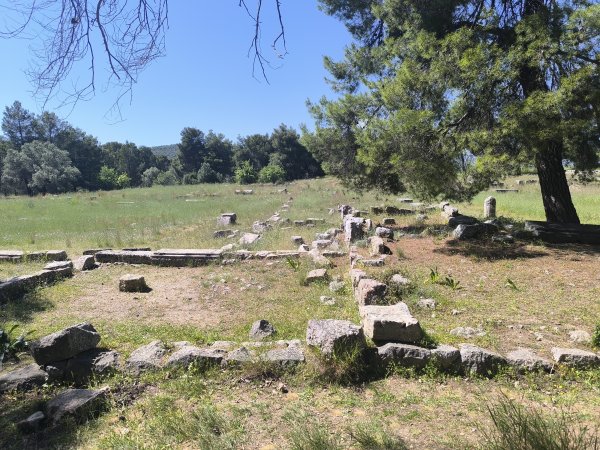 Photo: Ferenc Ocsovai