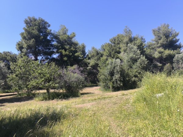 Photo: Ferenc Ocsovai