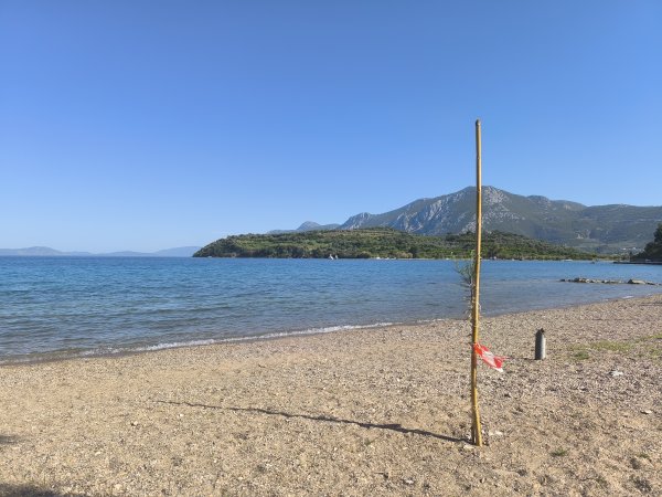 Photo: Ferenc Ocsovai