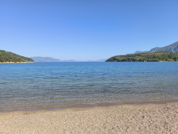 Photo: Ferenc Ocsovai